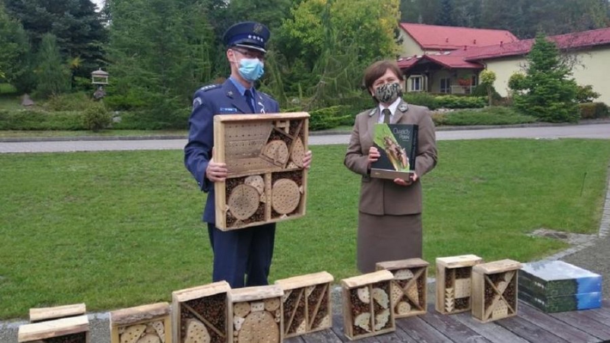 Koszalin: osadzeni w zakładzie karnym robią domki dla owadów i mają możliwość wycieczek do lasu