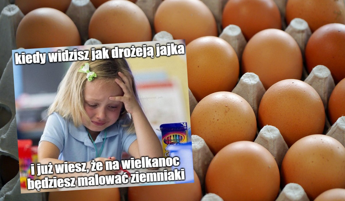 USA: przez ptasią grypę brakuje jajek, zrobiły się też szalenie drogie, nawet 8 dolarów za tuzin
