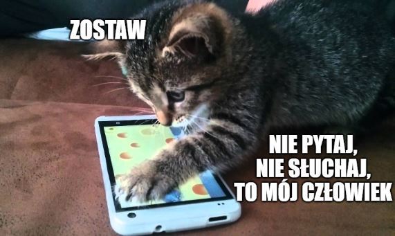 Forbes ostrzega: urządzenia Xiaomi szpiegują każdy ruch użytkowników