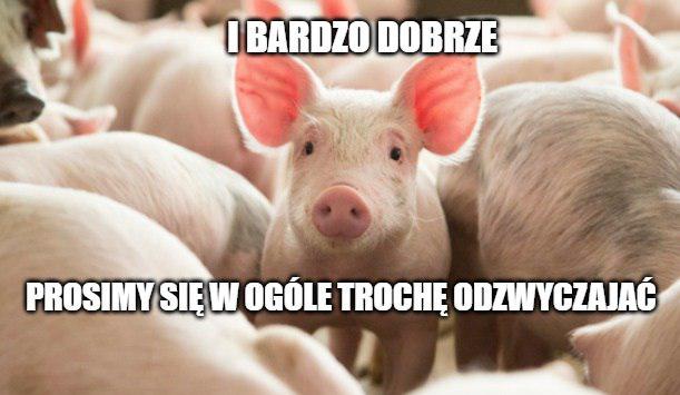 Chiny: racjonowanie wieprzowiny do 1 kg dziennie w 7-milionowym mieście, system "na kartki"