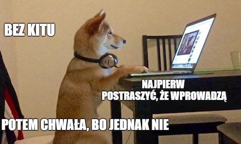 Rząd wycofuje się z pomysłu wyższego VAT-u na leki dla zwierząt