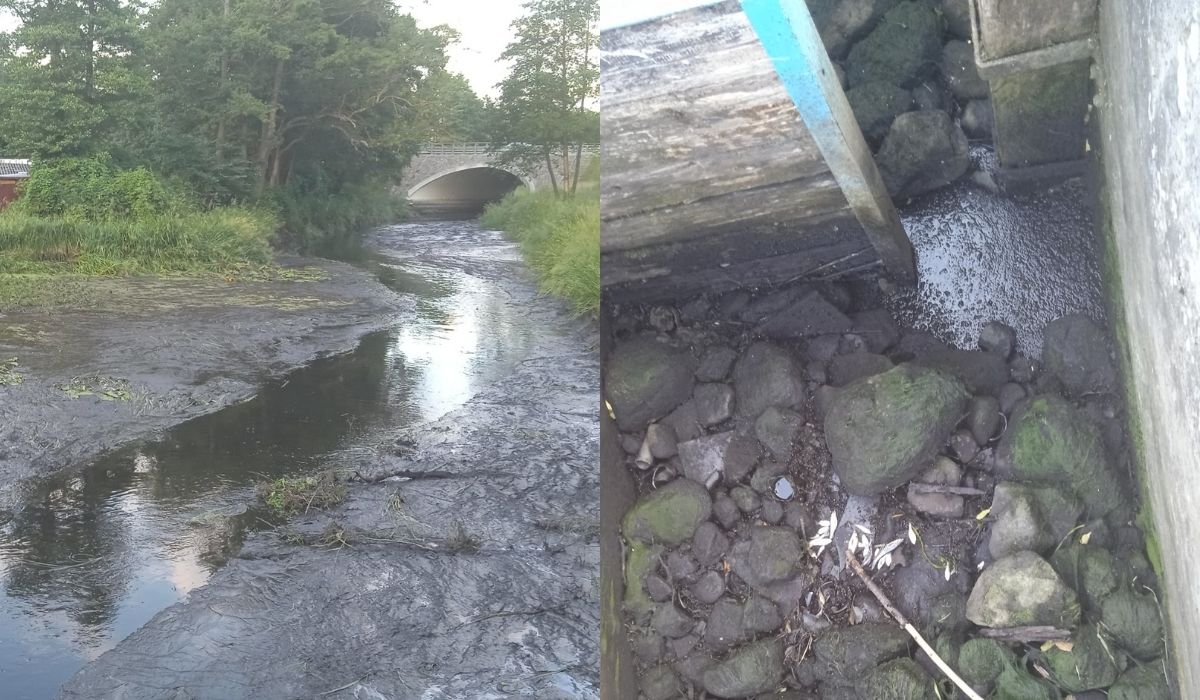 Pracownicy Wód Polskich olali procedury i przez ich sasinowanie doszło do katastrofy ekologicznej na rzece Głomia