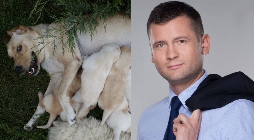 Poseł Bortniczuk tłumaczy na suczkach, dlaczego kobiety nie mogą o sobie decydować