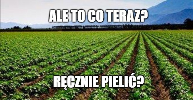 Austria: socjaldemokraci, zieloni i nacjonaliści wspólnie przeciw stosowaniu glifosatu, pierwszy taki zakaz w UE