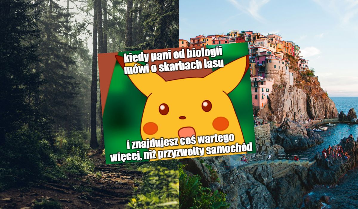 Włochy: szkoła urządziła sprzątanie lasu, uczniowie znaleźli worki z haszyszem