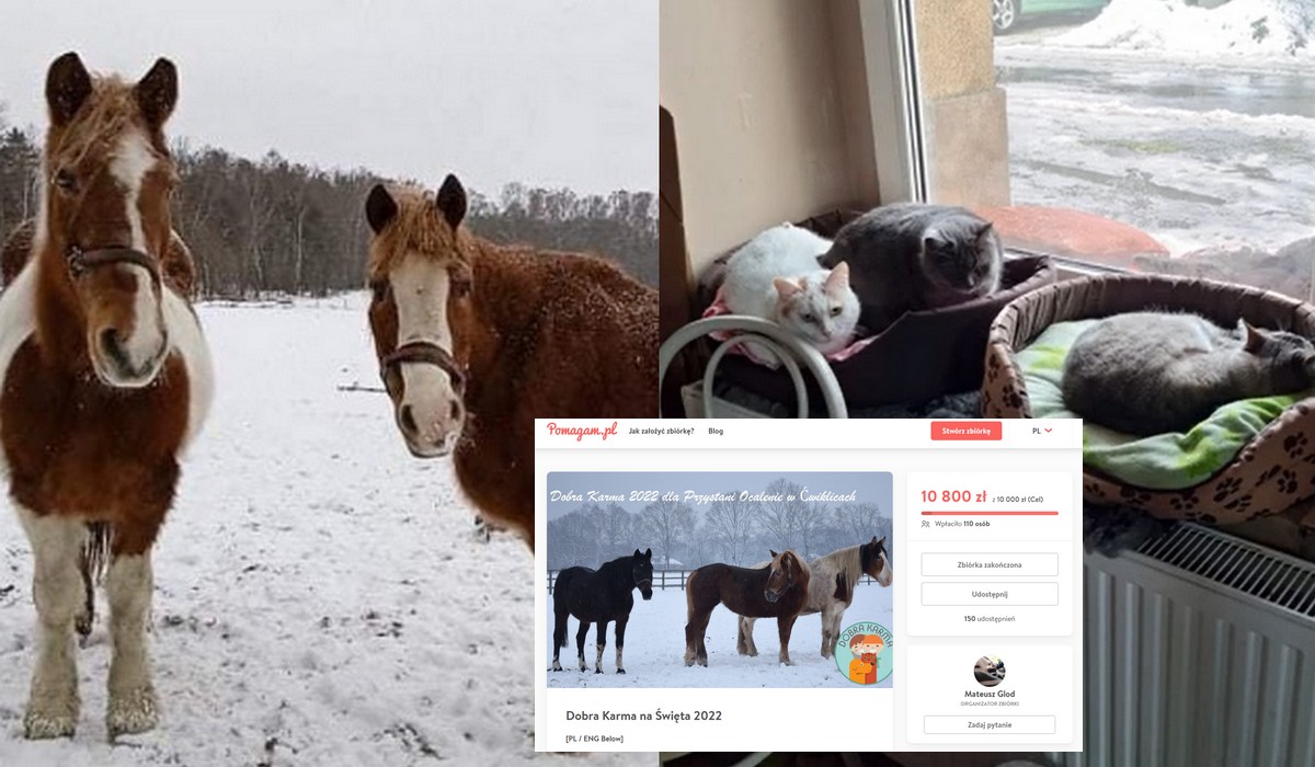 Dobra Karma: zbiórka na jedzenie dla zwierząt się udała, organizatorzy i sierściuchy dziękują i pozdrawiają