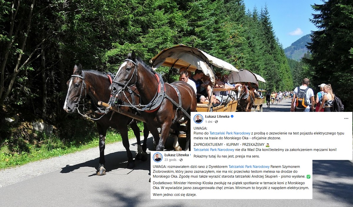 Poseł Litewka ciśnie na testy melexów zamiast koni w Tatrzańskim Parku Narodowym i chyba się uda