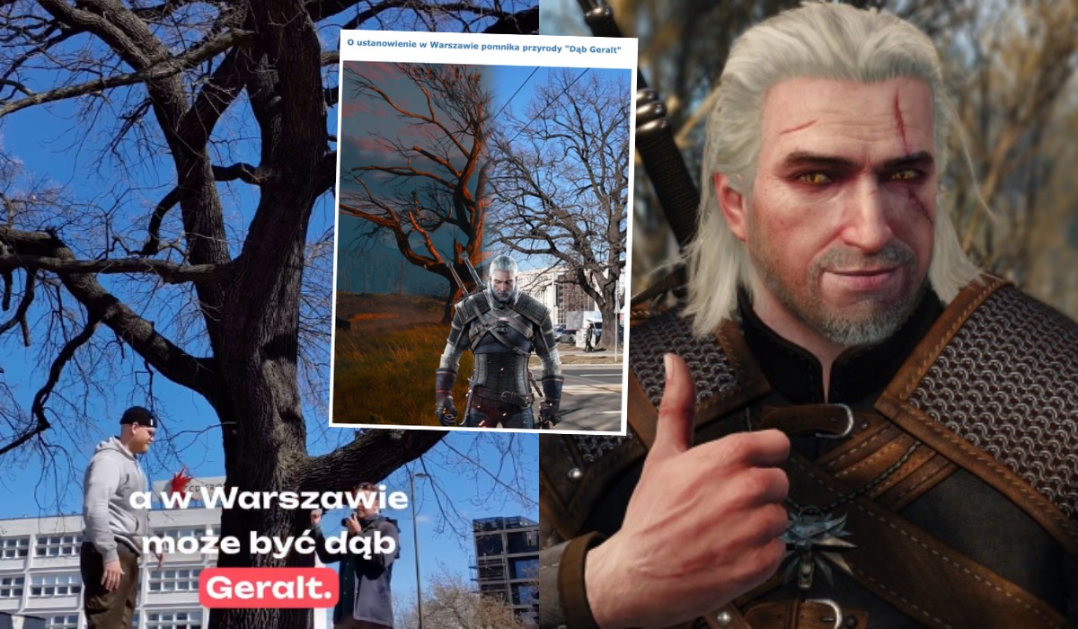 Powstała petycja, aby dąb z "Wiedźmina" został pomnikiem przyrody