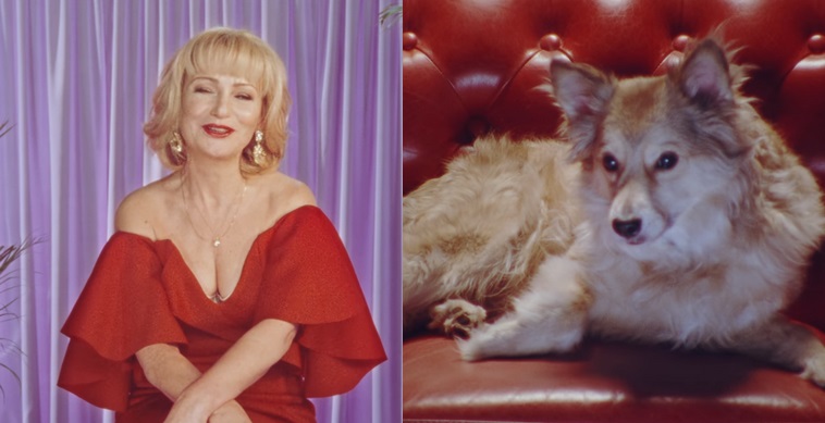 Jest kampania taka, żeby adoptować zwierzaka albo na fundację dać piątaka