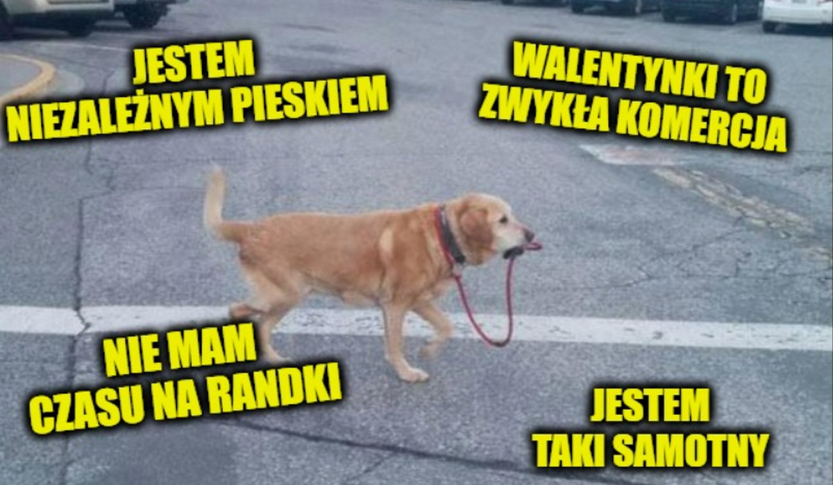 Badanie: blisko 40% polskich singli stresuje się Walentynkami