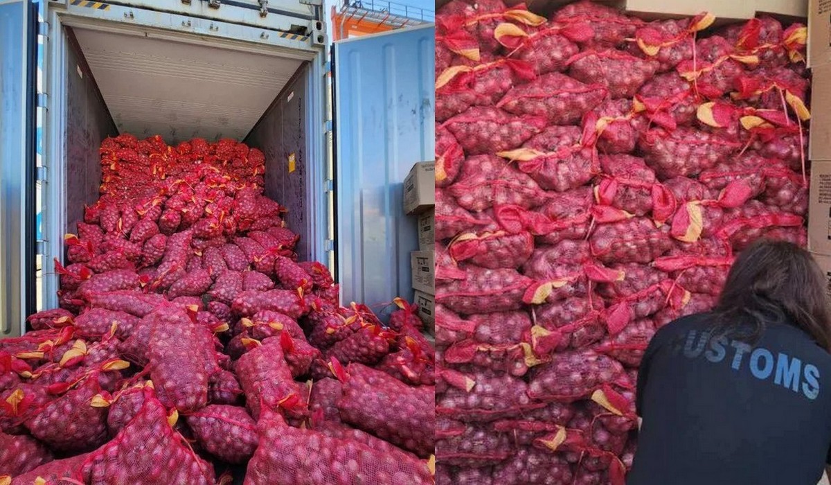 Filipiny: cebula tak zdrożała, że zaczęła należeć do towarów przemycanych