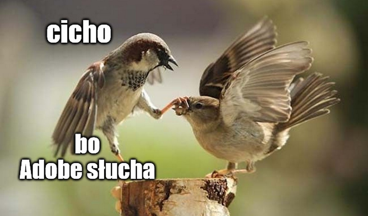 Adobe po głosach krytyki musiało zmienić regulamin, nie będzie jednak trenowało AI na pracy użytkowników