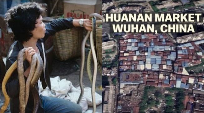 Chiny: władze w Wuhan zakazały polowania i jedzenia dzikich zwierząt, rychło w czas