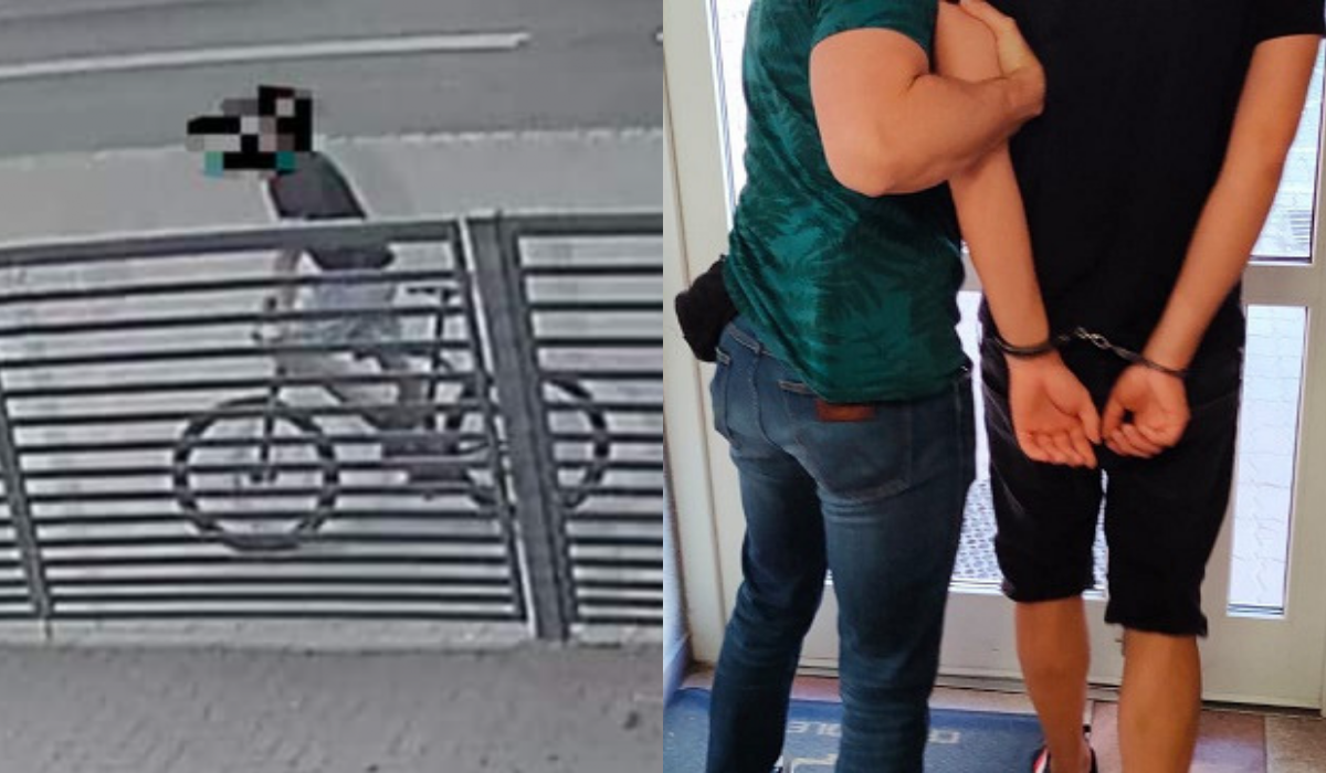 Udało się namierzyć i złapać faceta, który w Legnicy usiłował zabić psa trucizną