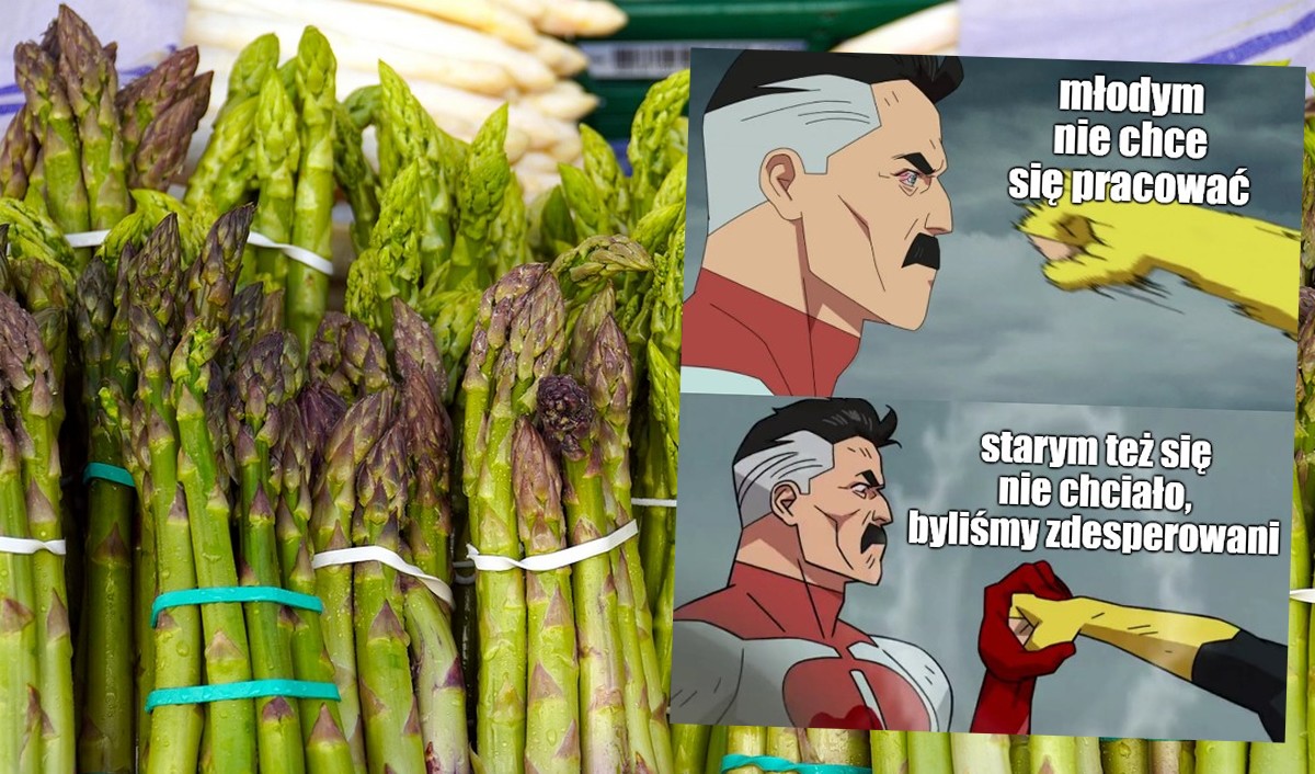 Niemcy cierpią na brak rąk do prostej pracy, szczególnie do słynnych zbiorów szparagów