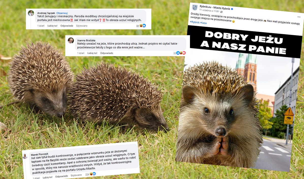 Rybnik: radni PiS i księża obrazili się o grafikę "dobry jeżu a nasz panie" na stronie miasta