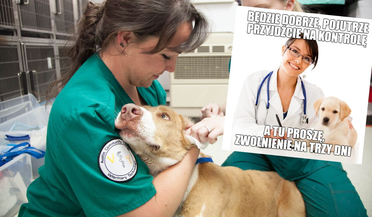 Powstał projekt urlopu na opiekę nad zwierzakiem, trwa zbiórka podpisów