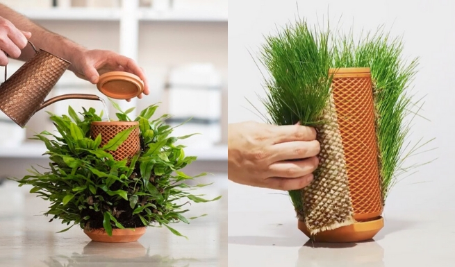 Hydroponika: projekt pionowej doniczki pozwala tworzyć domowe ogródki