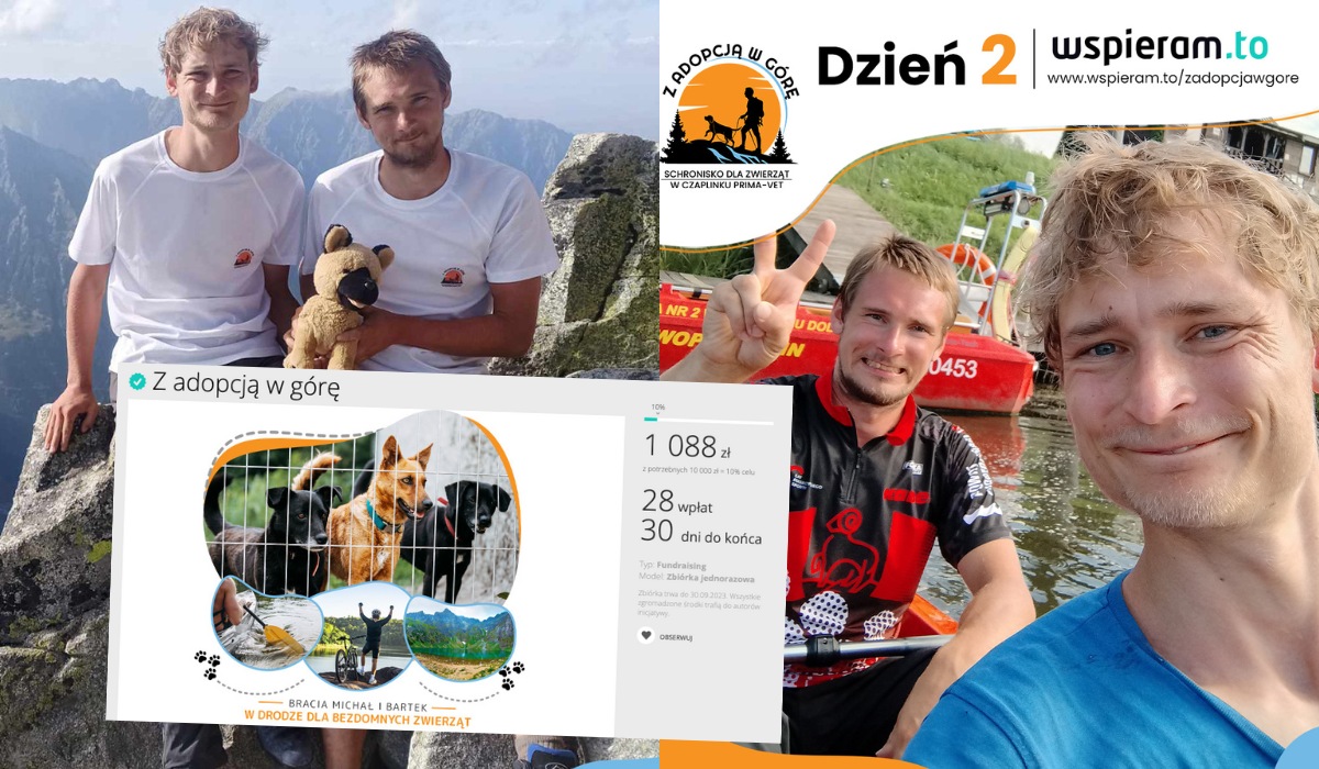 Weterynarz i jego brat robią czelendż sportowy, żeby zebrać hajs na zwierzaki