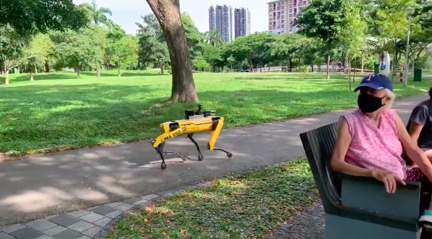 Singapur: pies-robot chodzi po parku i zachęca do dystansu społecznego