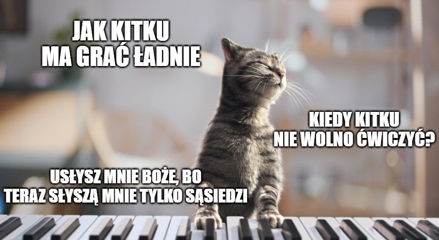 Sąd skazał pianistę za ćwiczenie na fortepianie w domu, artyści protestują