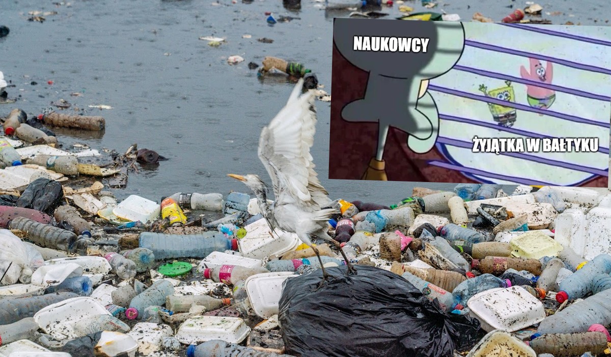 Raport: są postępy unijnej walki z zanieczyszczeniem mórz, szczególnie poprawia się sytuacja Bałtyku