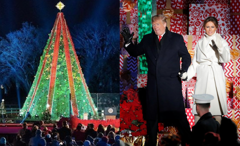 Donald Trump zapalił lampki na choince przed Białym Domem