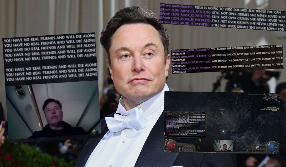 Musk został tak przeczołgany przez graczy podczas streamu, że wydarzenie zaczęło żyć jako mem