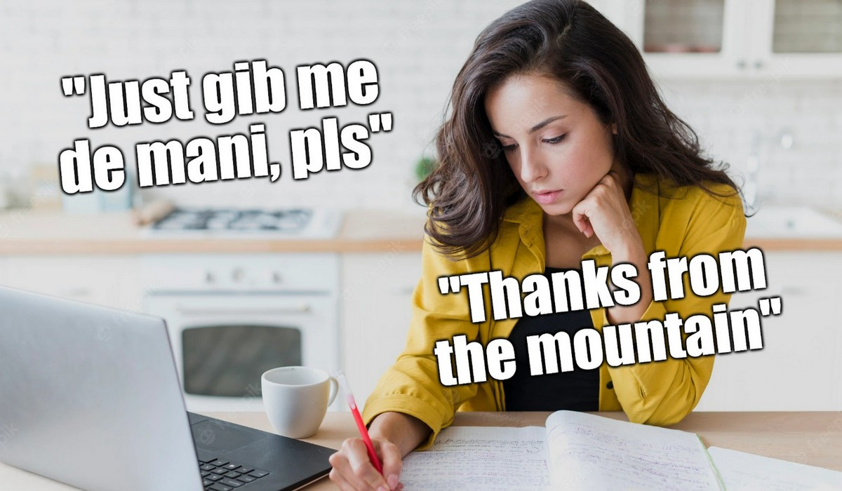 Irlandia: Polka wyłudziła ponad 35 tys. euro świadczeń socjalnych i nikt nie wie jakim cudem, bo nie zna angielskiego