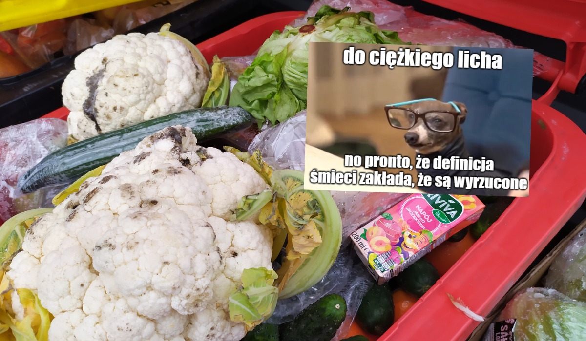 Sąd uznał, że zabranie jedzenia ze śmietnika Biedronki jednak nie było kradzieżą