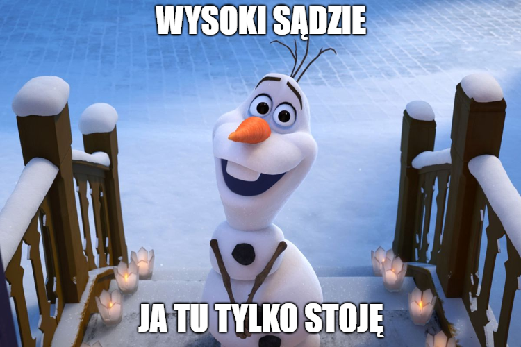 Sąd uznał bałwana za uczestnika demonstracji i nałożył grzywnę