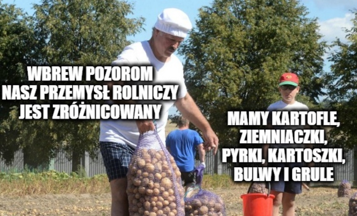 Białoruś chyba ma dość kartofli i luzuje embargo na polskie produkty
