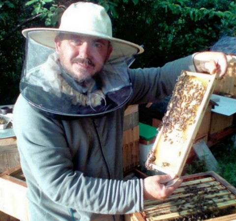 Ruszyła akcja pomocy pszczelarzowi, któremu wytruto 2,5 mln pszczół
