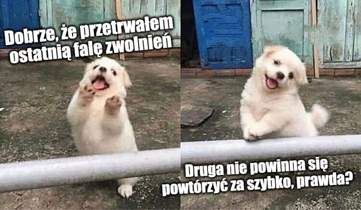 Meta zwolni 10 tys. osób, żeby "zwiększyć wydajność przedsiębiorstwa"