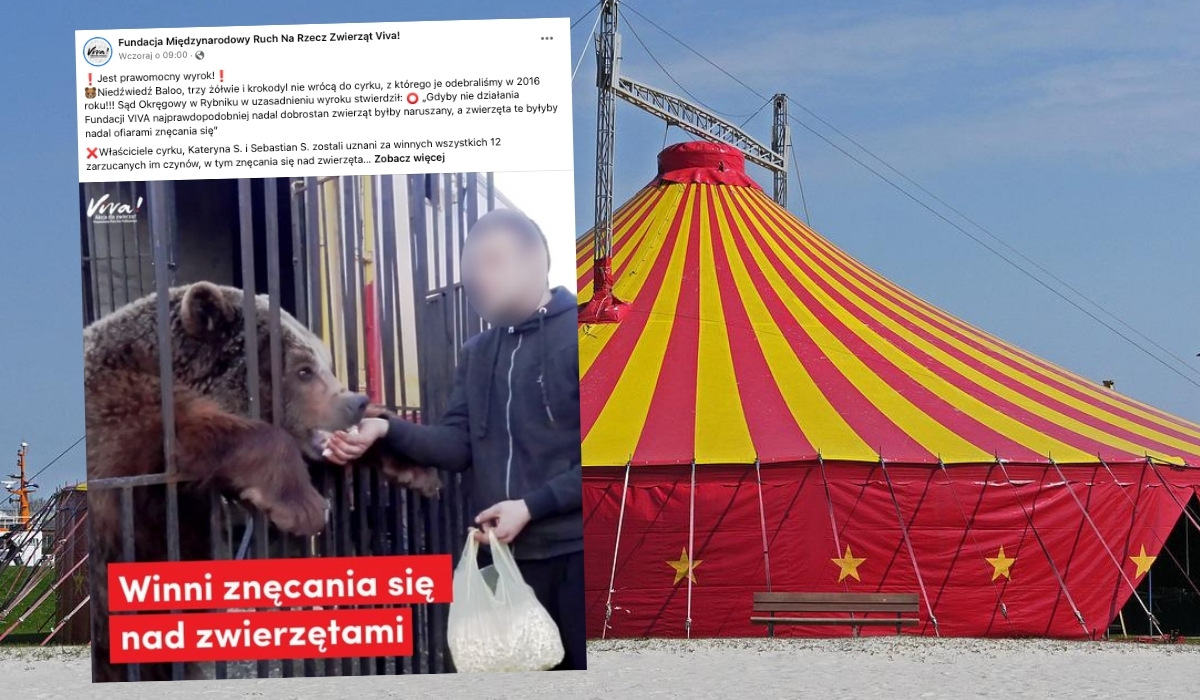 Rybnik: zapadł pierwszy w Polsce prawomocny wyrok wobec właścicieli cyrku za znęcanie się nad zwierzętami