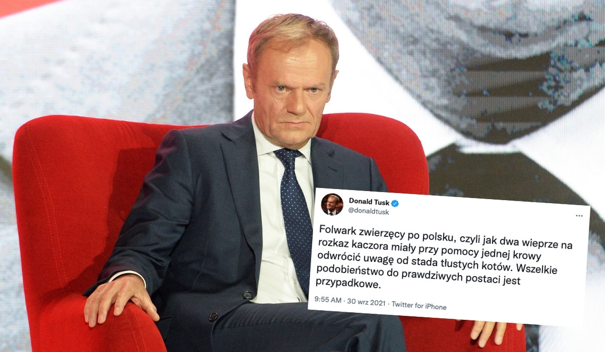 Tusk usiłuje być ostry i pisze o "wieprzach na usługach kaczora"