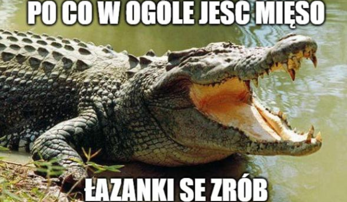 Tajlandia: przez ASF i ceny wieprzowiny, ludzie przerzucają się na dania z krokodyli