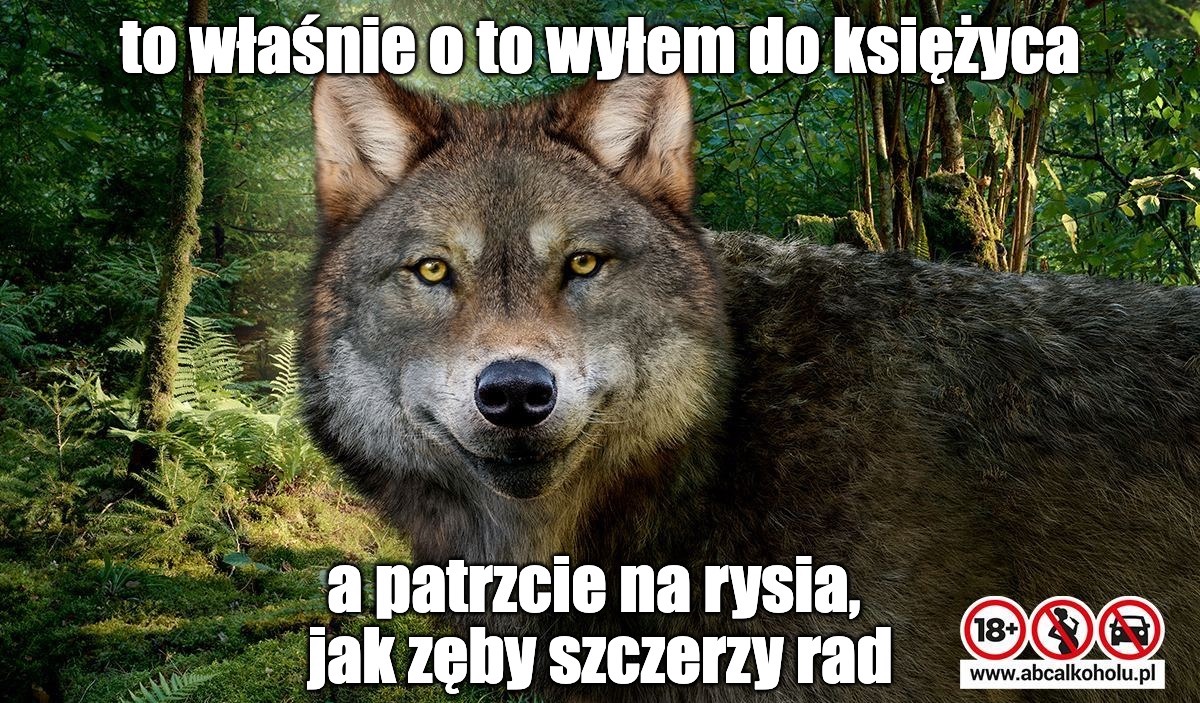 Fundusz Żubra pokazuje, jak dzięki wsparciu zagrożonym gatunkom cieszą się mordki