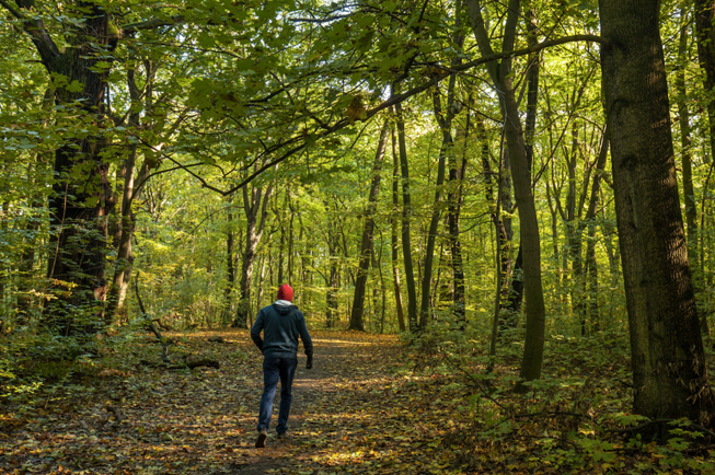 Kolejność "luzowania" obostrzeń: najpierw lasy, potem drobne usługi, potem duże sklepy