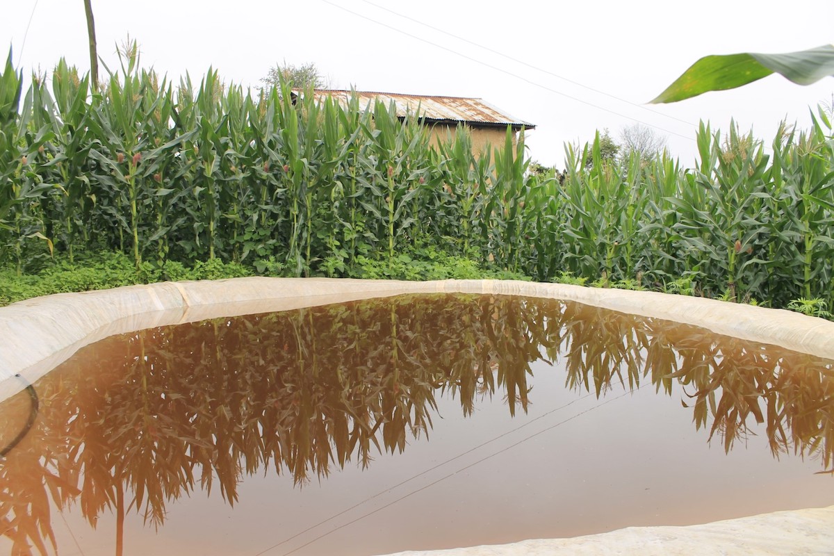 Wzrośnie tzw. "podatek od deszczu", który zapłacą prawie wszyscy poza zgadnij kim