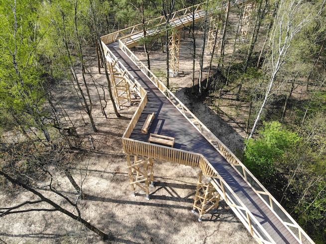 Poznań: druga w Polsce ścieżka w koronach drzew już gotowa