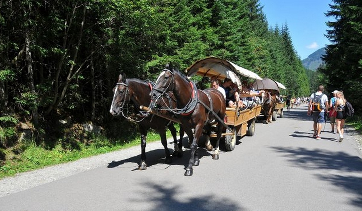 Fiakrzy z niechęcią testują wóz hybrydowy, który ma wspomóc konie na górskim szlaku