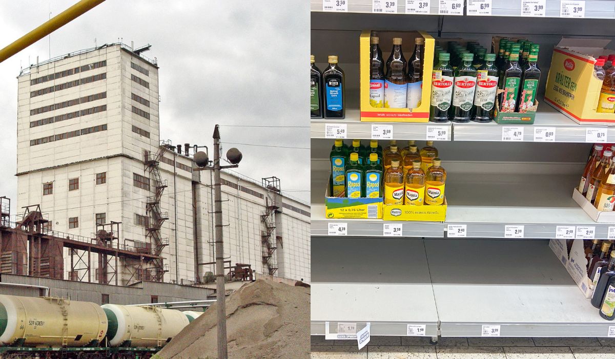 Powstanie "olejociąg", którym z Ukrainy do Polski popłynie olej słonecznikowy 