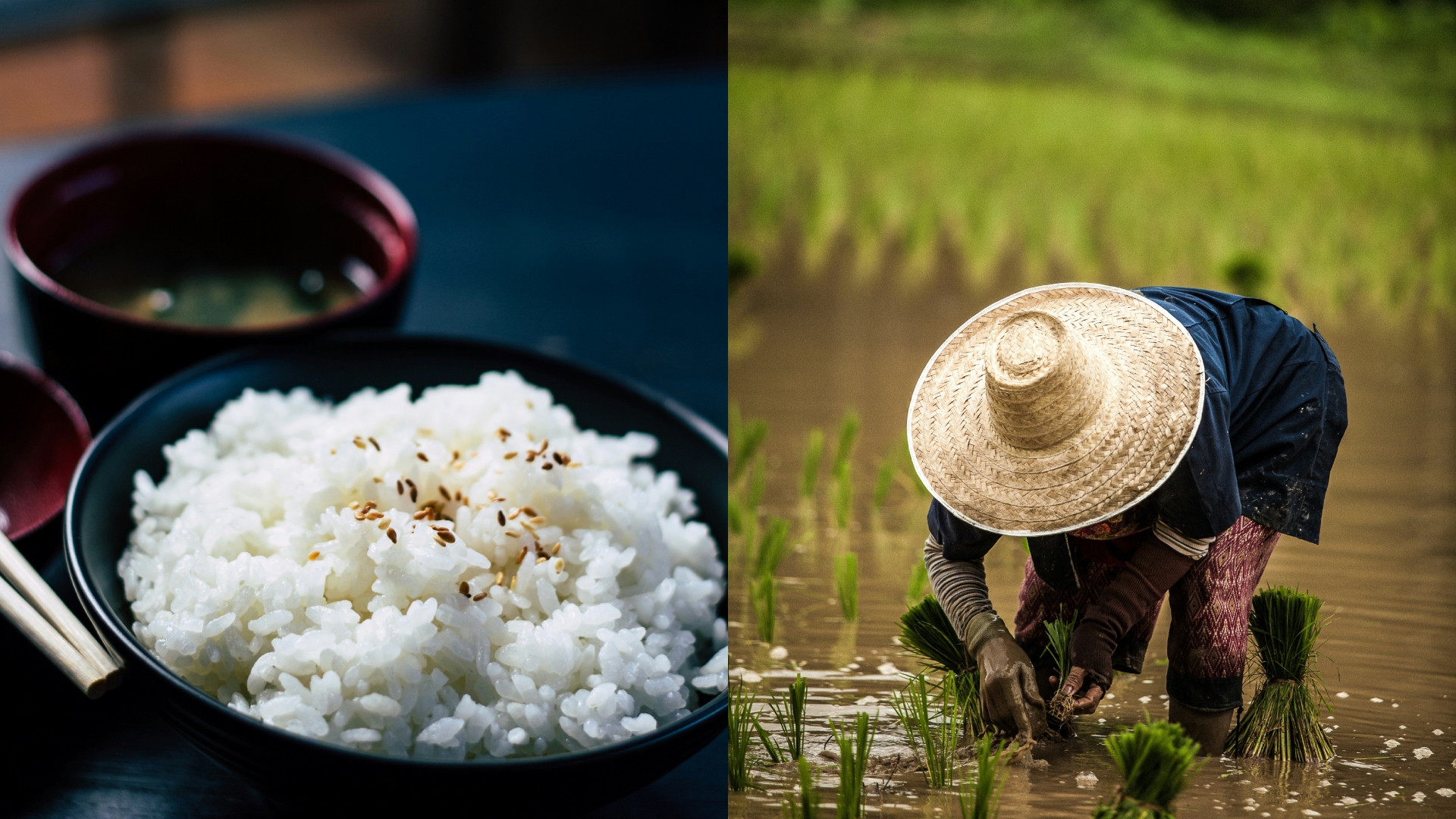 Chiny były tak uprzejme, że odstąpiły Kubie 30 ton ryżu w ramach pomocy humanitarnej