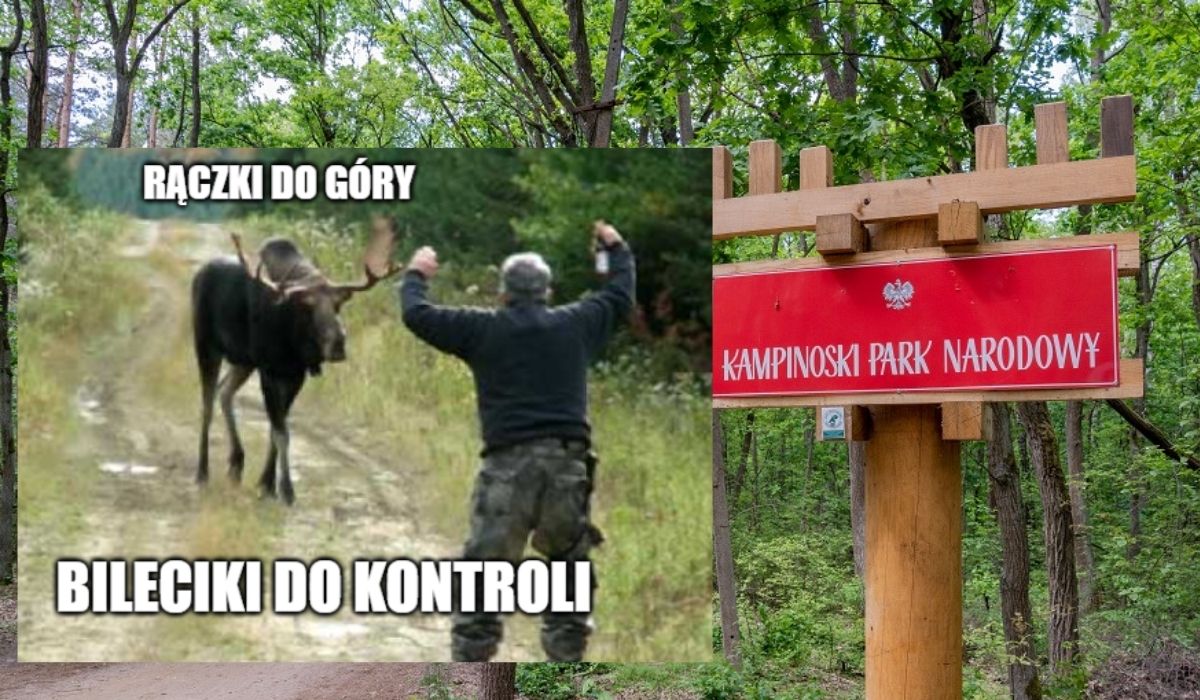 Wszystkie parki narodowe w Polsce mają stać się płatne, chociaż trudno będzie wyegzekwować kary