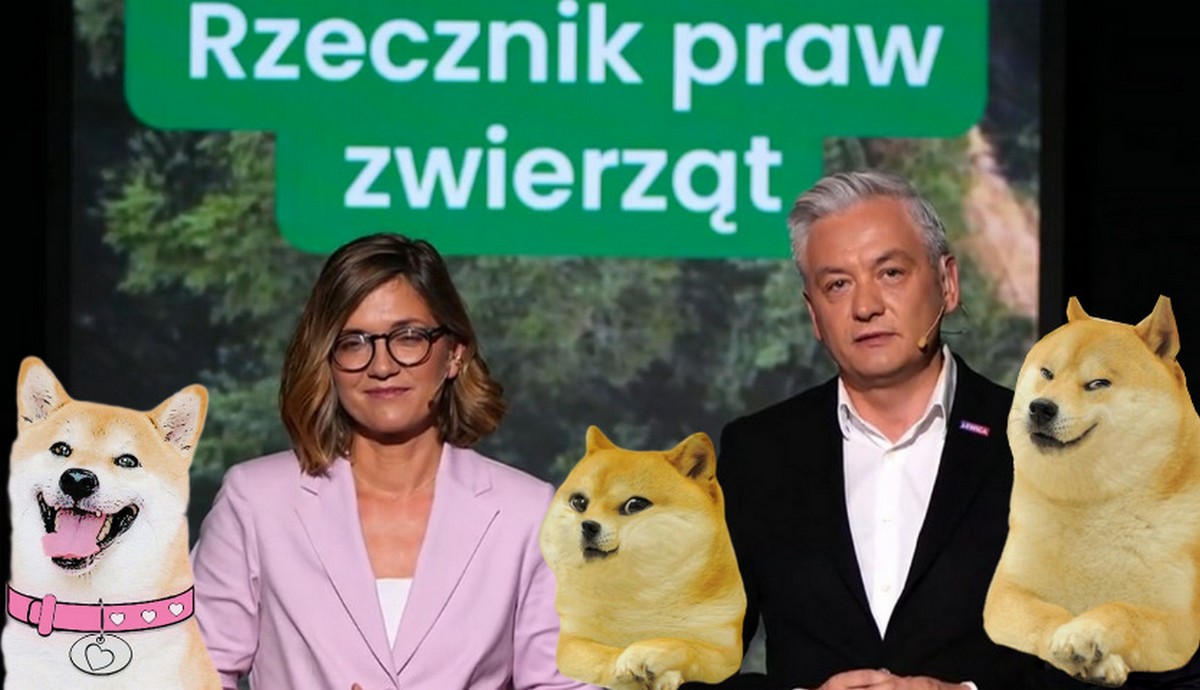 Lewica zapowiada, że każdy polski pies otrzyma swój numer PIESEL