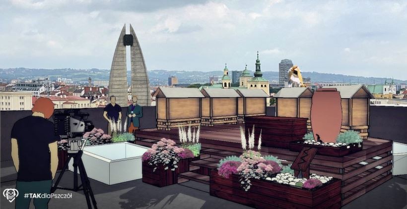 Pszczółkowa inicjatywa: w Rzeszowie powstała pasieka w centrum miasta, działa też Pszczeli Bank