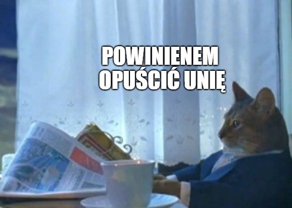 Francuska minister nazwała kota "Brexit", bo "głośno miauczy, a nie wychodzi"