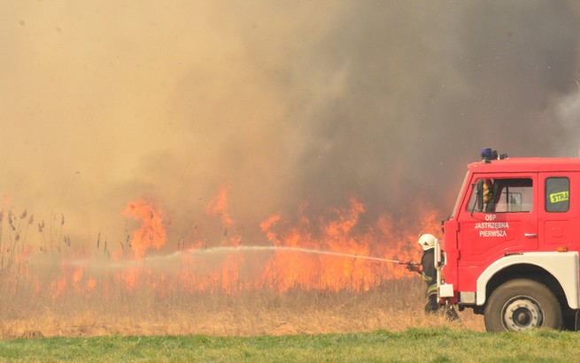 Wciąż trwa pożar w Biebrzańskim Parku Narodowym. Spłonęło około 1400 ha powierzchni łąk i lasów