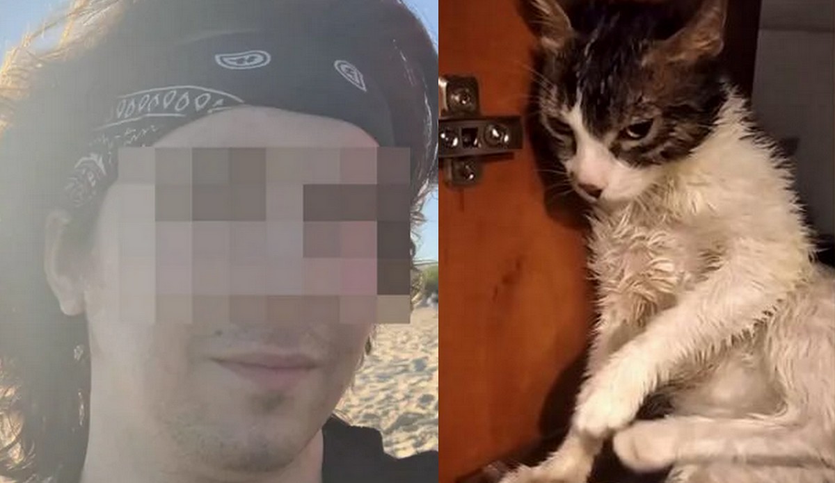 Mężczyzna, który zasłynął ze znęcania się nad kotem, został skazany na odsiadkę